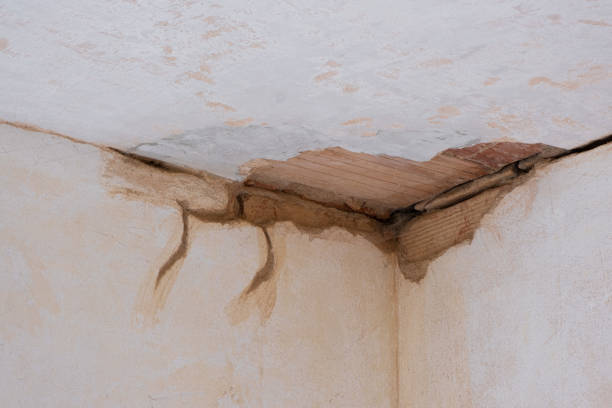 Best Water damage contractors near me  in Port Byron, IL