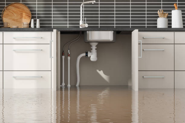 Best Ceiling water damage repair  in Port Byron, IL