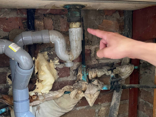 Professional Water damage restoration in Port Byron, IL